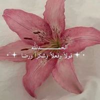 am.xo222