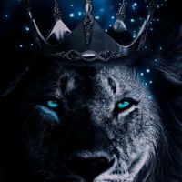 il_king.0