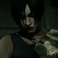 zaune_4