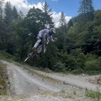 hardcastleharry