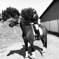 emadressage