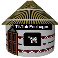 tiktokpoular