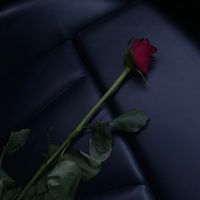 jslove_diary