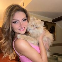 queen_katti