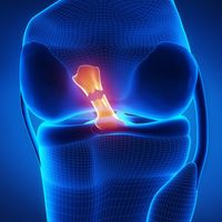 road2recoveryacl
