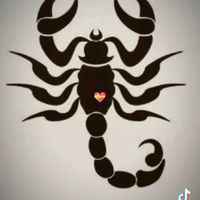 ahmedywsaf0