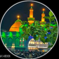alishbazahra10