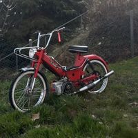 z64_flavio