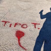tipo.timido_