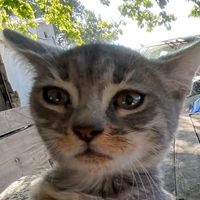 an.editor.for.you