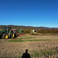 mishelchernevski7930