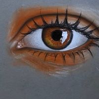 feed.by.eye