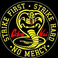 cobrakai_zrkk