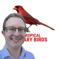 tropical_aviary_birds