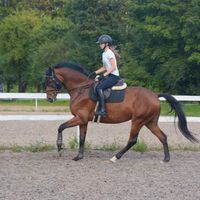 miaaa.equestrian