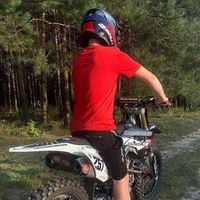 d.fali31_2