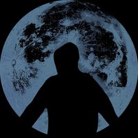 you will find moonlit nights strangely empty