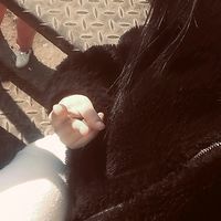 fp.stefy