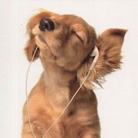 original sound