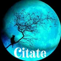 original sound - citate.lovee11