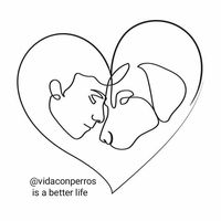 adoptavidaconperros