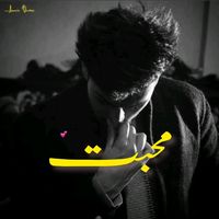 haseebwrites15
