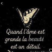 moitoutsimplement48