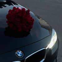 marya_94.6