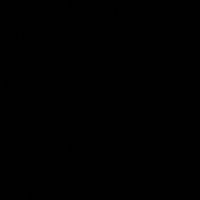 petrovich.00