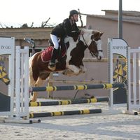 calypso_83210