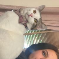 slitmeths