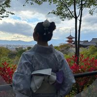 _minaya._