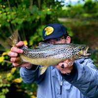 swimbait.swiss