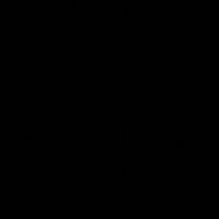 ser.29
