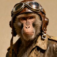flybaboonkiller