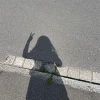 dieeineaus_11