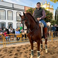 franciscomanuelpalma