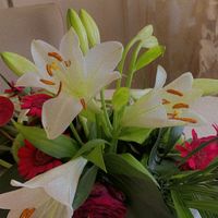 fouzia212730