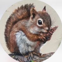 nutty_squirrel