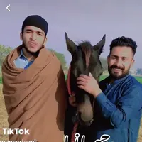 original sound - sajawalgujratala09