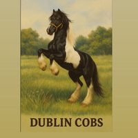 dublincobs