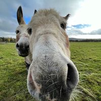 ..equi.alina