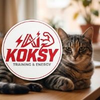 aikoksy
