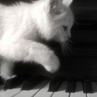 original sound