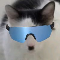 fakanal_123