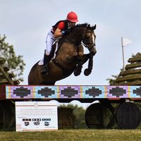 bunny.eventing