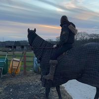 ravenmythoroughbred
