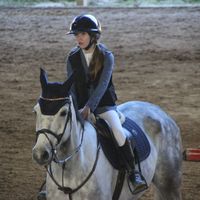 showjumping_royal