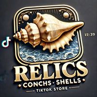 relicsconchsshells