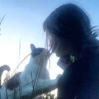 TikTok Sound - original sound